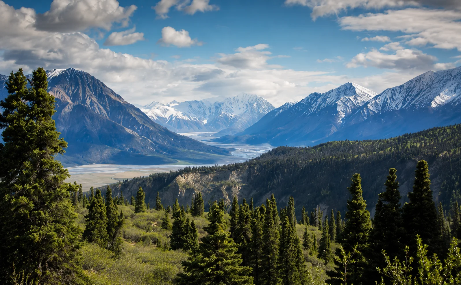 Canadian Rockies with blue lake, pine trees, and mountain view